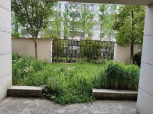 西郊花园  270㎡ 288万元