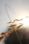 紫薇二村1号楼门面房 1室 45㎡ 价格面议